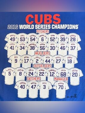 Chicago Cubs 2016 World Series Champions T-Shirt Mens L Player's Shirts on Back